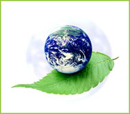 green-earth